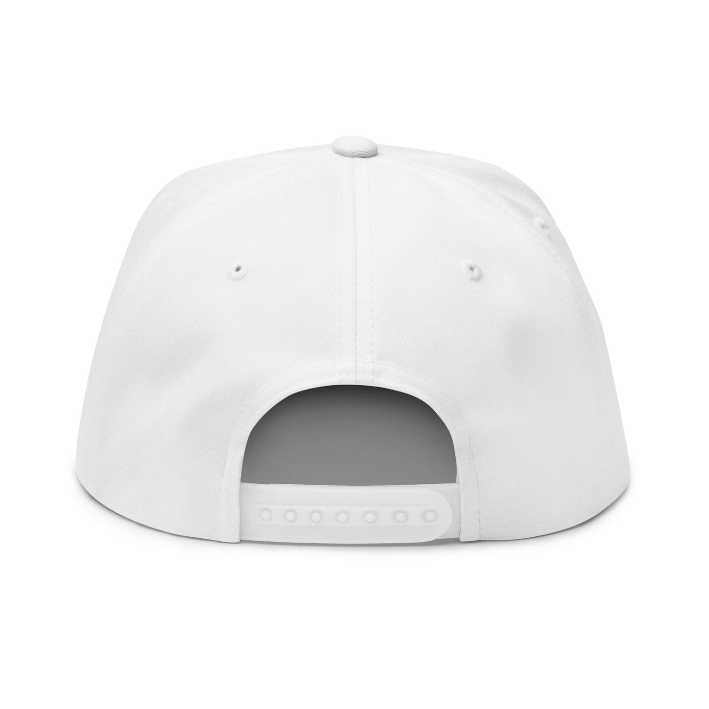 Drop The Stones — Embroidered Flat Bill Hat