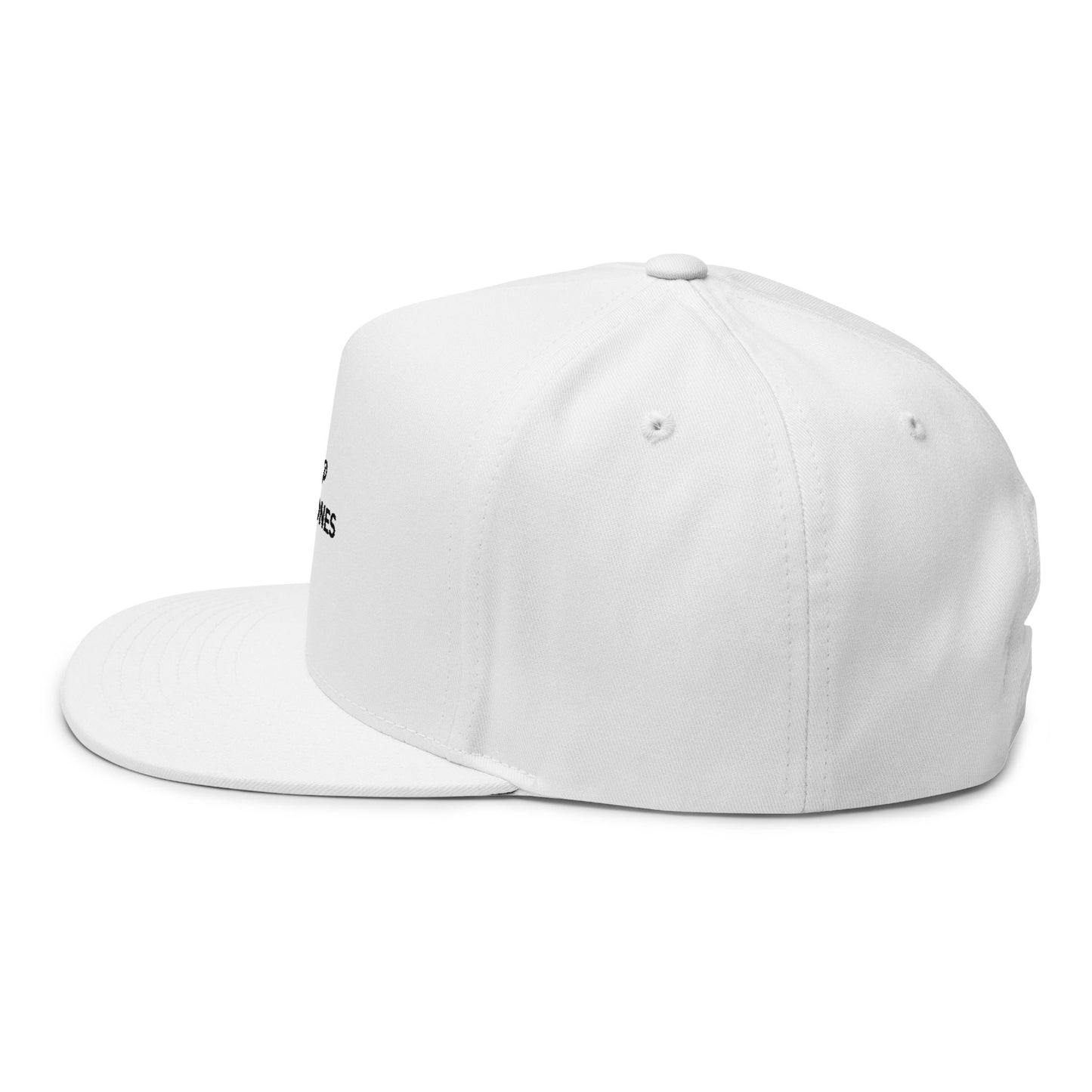 Drop The Stones — Embroidered Flat Bill Hat
