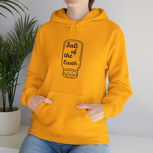 Salt of the Earth — Comfort Colors Hooded Sweatshirt